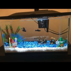 Fish tank